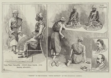 Priests of the Burmese White Elephant at the Zoological Gardens